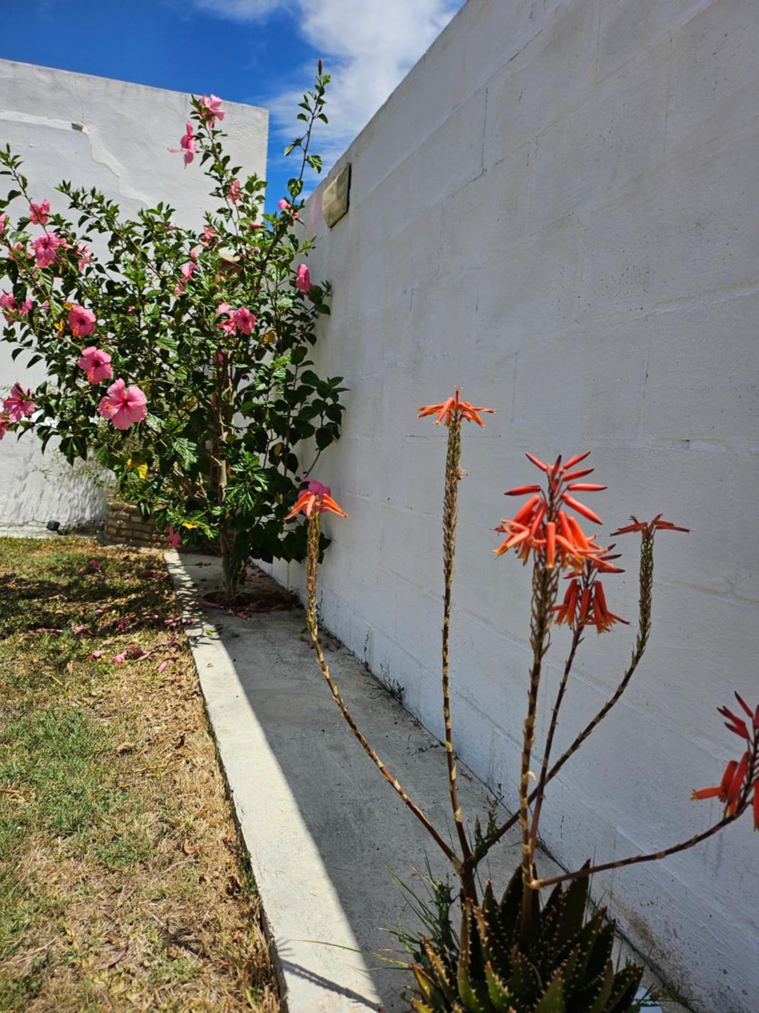 Villa Nonina Chiclana de la Frontera Exterior foto